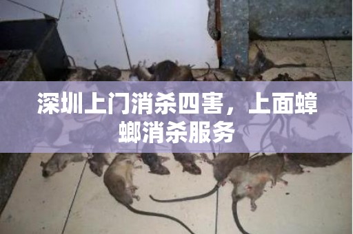 深圳上门消杀四害，上面蟑螂消杀服务