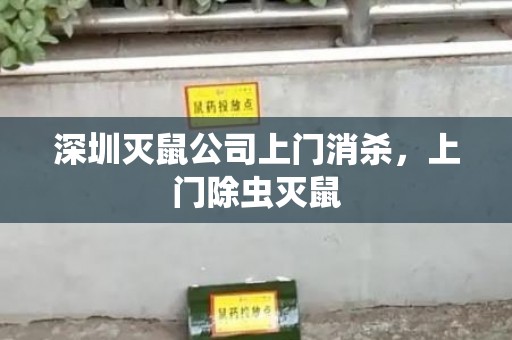 深圳灭鼠公司上门消杀，上门除虫灭鼠