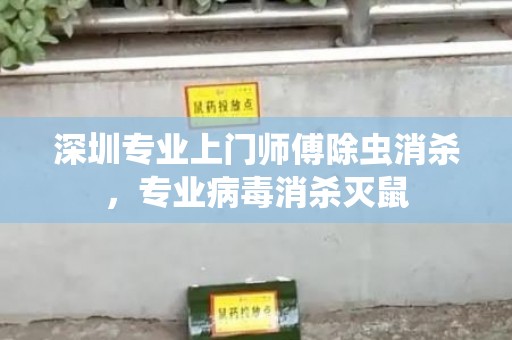 深圳专业上门师傅除虫消杀，专业病毒消杀灭鼠