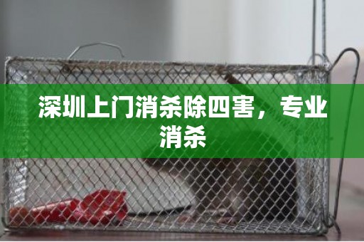 深圳上门消杀除四害，专业消杀