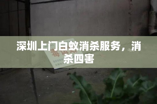 深圳上门白蚁消杀服务，消杀四害