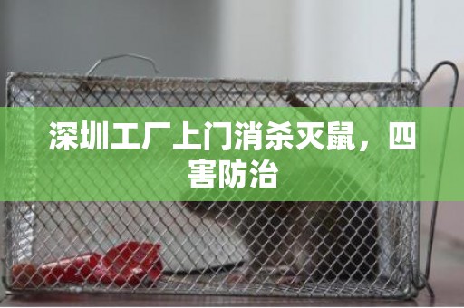 深圳工厂上门消杀灭鼠，四害防治