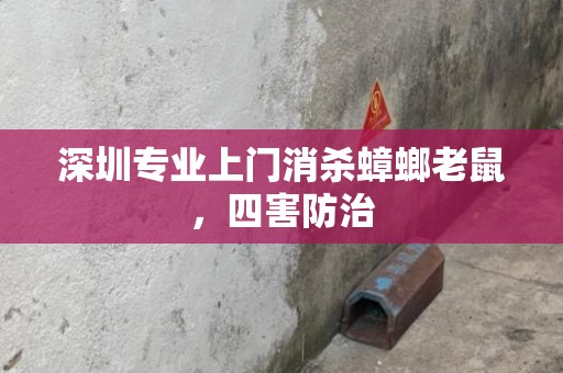 深圳专业上门消杀蟑螂老鼠，四害防治