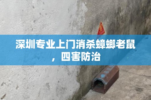 深圳专业上门消杀蟑螂老鼠，四害防治