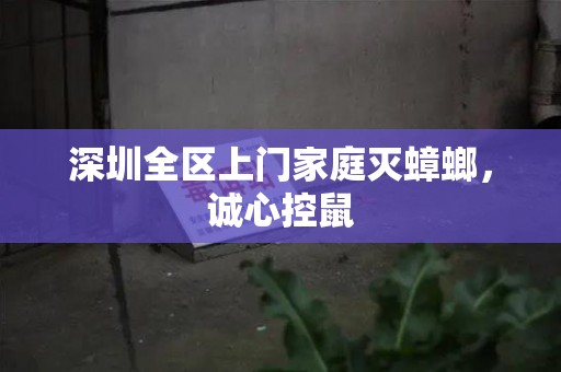 深圳全区上门家庭灭蟑螂，诚心控鼠