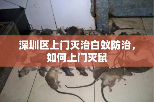 深圳区上门灭治白蚁防治，如何上门灭鼠