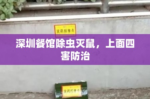 深圳餐馆除虫灭鼠，上面四害防治