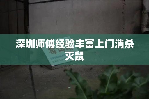 深圳师傅经验丰富上门消杀灭鼠