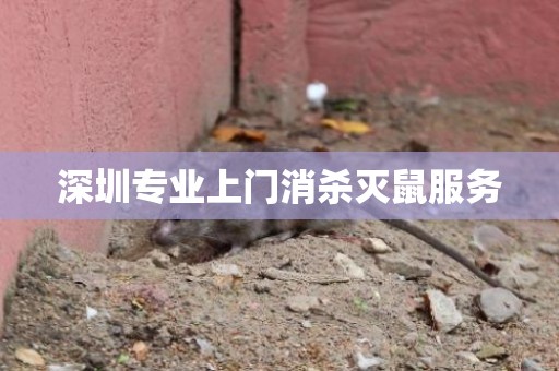 深圳专业上门消杀灭鼠服务