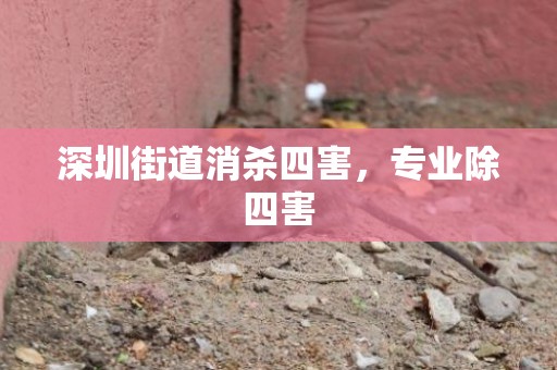 深圳街道消杀四害，专业除四害
