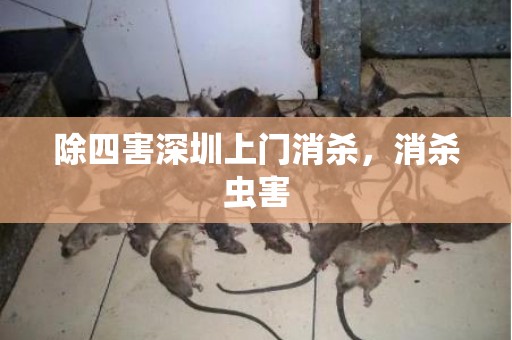 除四害深圳上门消杀，消杀虫害