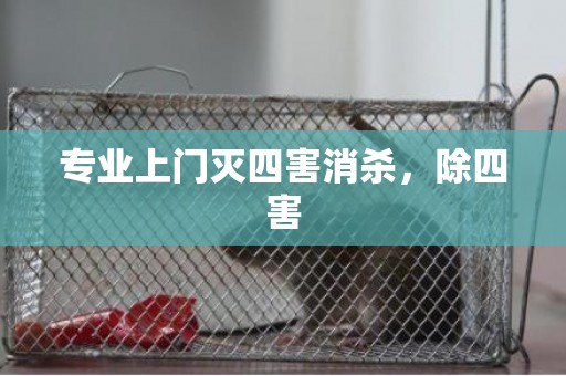 专业上门灭四害消杀，除四害