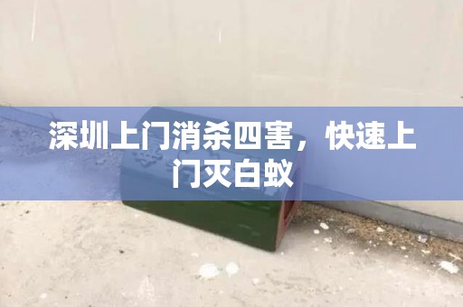 深圳上门消杀四害，快速上门灭白蚁