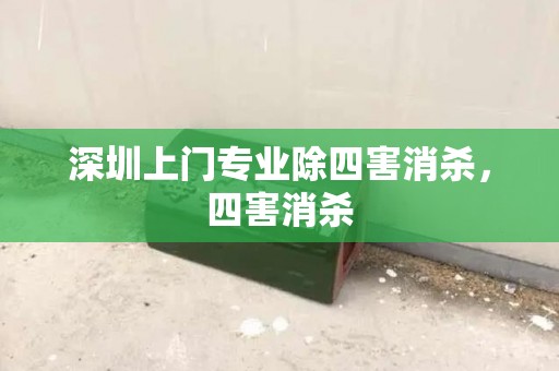 深圳上门专业除四害消杀，四害消杀