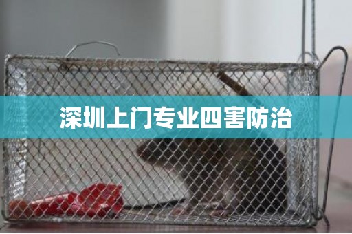 深圳上门专业四害防治