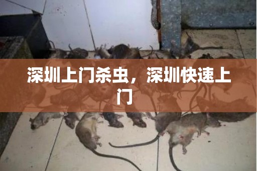 深圳上门杀虫，深圳快速上门  