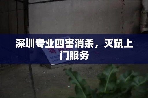 深圳专业四害消杀，灭鼠上门服务