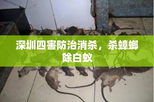 深圳四害防治消杀，杀蟑螂除白蚁