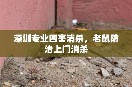 深圳专业四害消杀，老鼠防治上门消杀