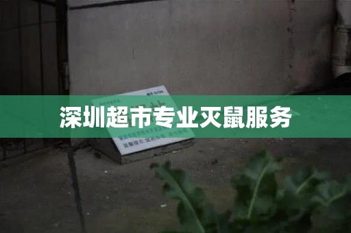 深圳超市专业灭鼠服务