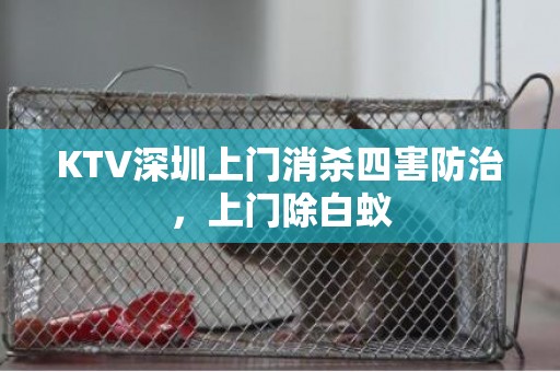 KTV深圳上门消杀四害防治，上门除白蚁