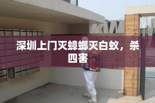 深圳上门灭蟑螂灭白蚁，杀四害