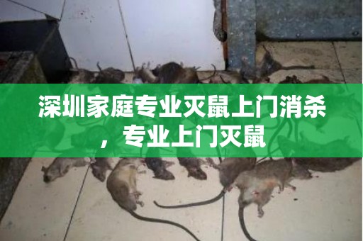深圳家庭专业灭鼠上门消杀，专业上门灭鼠