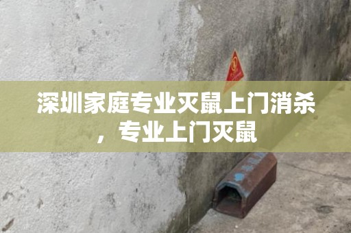 深圳家庭专业灭鼠上门消杀，专业上门灭鼠