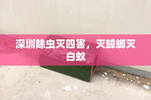 深圳除虫灭四害，灭蟑螂灭白蚁