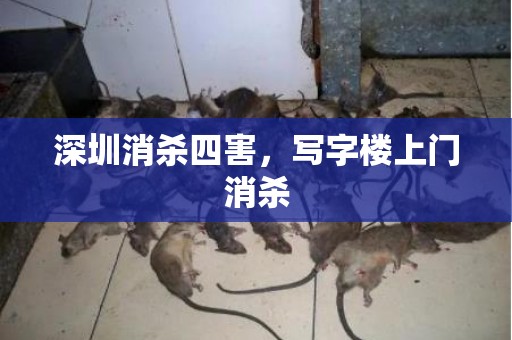 深圳消杀四害，写字楼上门消杀