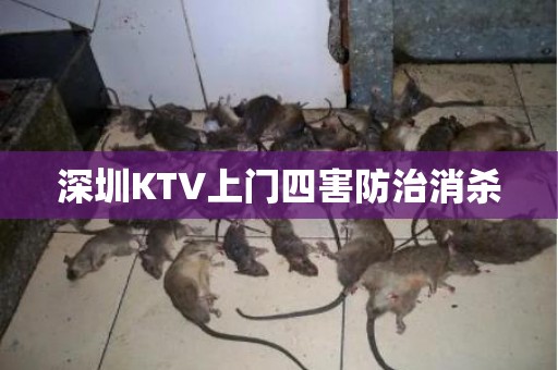 深圳KTV上门四害防治消杀