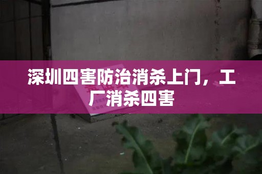 深圳四害防治消杀上门，工厂消杀四害