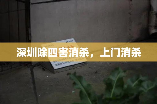 深圳除四害消杀，上门消杀