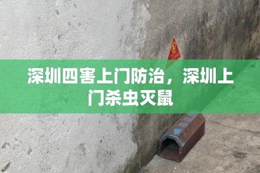 深圳四害上门防治，深圳上门杀虫灭鼠