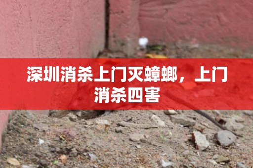 深圳消杀上门灭蟑螂，上门消杀四害