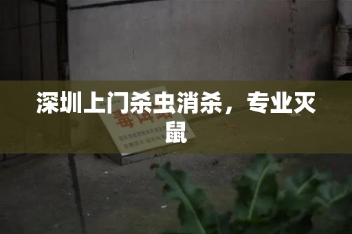 深圳上门杀虫消杀，专业灭鼠