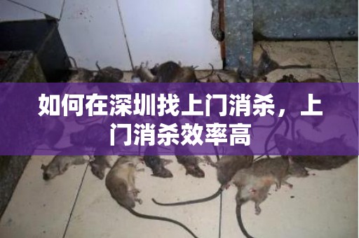 如何在深圳找上门消杀，上门消杀效率高