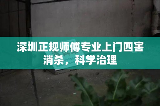 深圳正规师傅专业上门四害消杀，科学治理