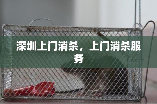 深圳上门消杀，上门消杀服务