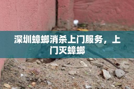 深圳蟑螂消杀上门服务，上门灭蟑螂