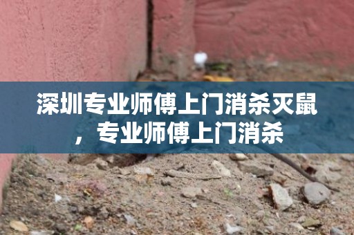 深圳专业师傅上门消杀灭鼠，专业师傅上门消杀