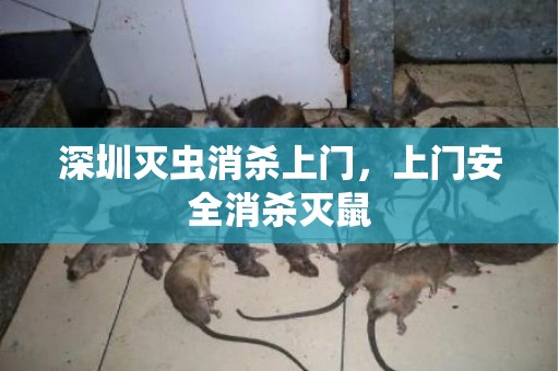 深圳灭虫消杀上门，上门安全消杀灭鼠