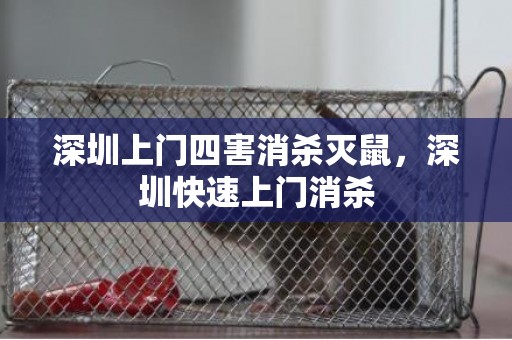 深圳上门四害消杀灭鼠，深圳快速上门消杀