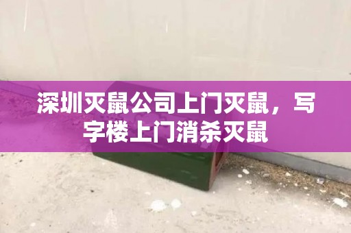 深圳灭鼠公司上门灭鼠，写字楼上门消杀灭鼠