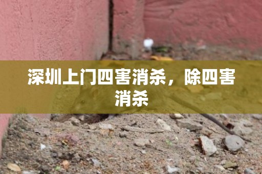 深圳上门四害消杀，除四害消杀