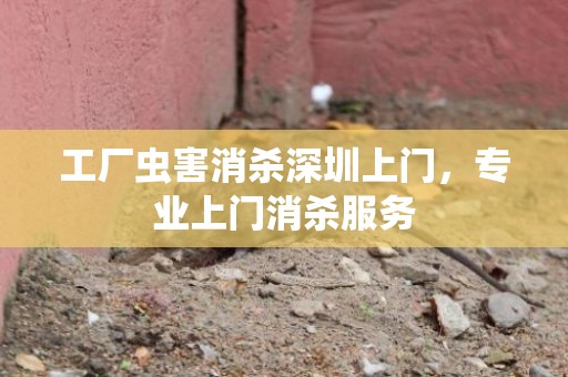 工厂虫害消杀深圳上门，专业上门消杀服务