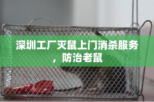 深圳工厂灭鼠上门消杀服务，防治老鼠
