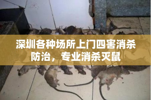 深圳各种场所上门四害消杀防治，专业消杀灭鼠