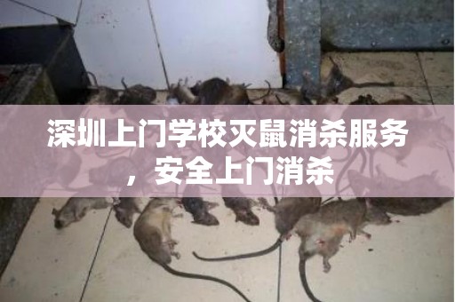 深圳上门学校灭鼠消杀服务，安全上门消杀
