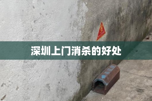深圳上门消杀的好处